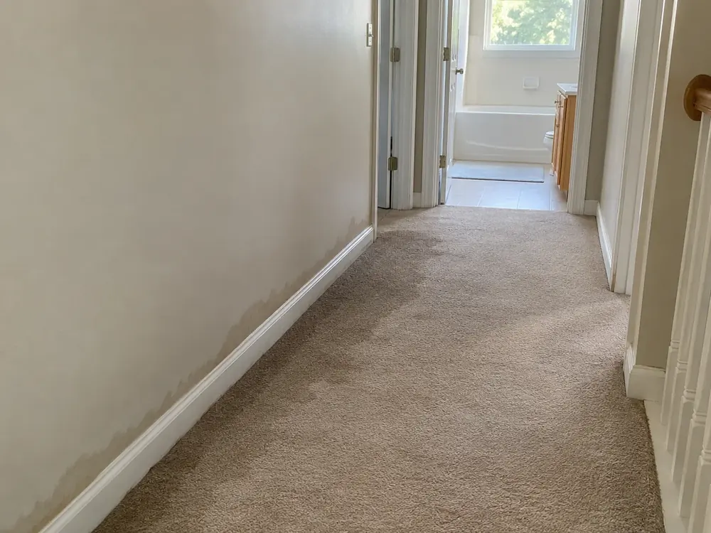 Damp hallway carpet and a dark moisture line above the baseboard near a bathroom